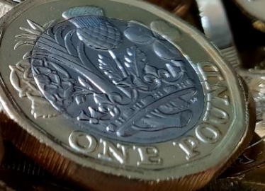 pound coin